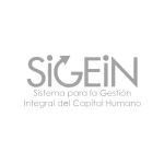 Sigein - digital experiences